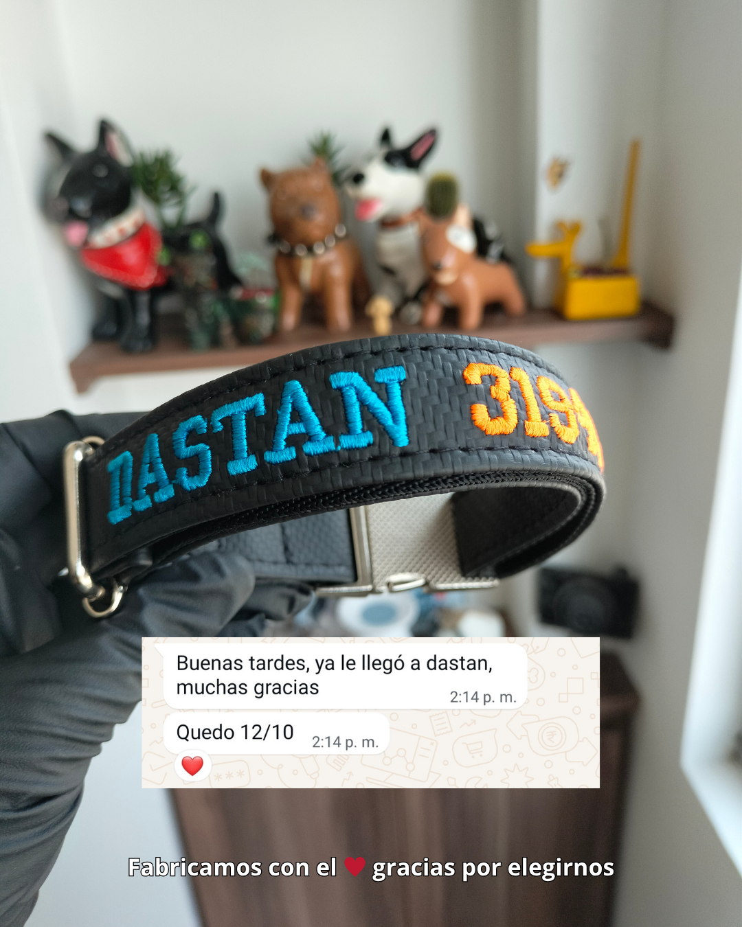 Testimonio de collares